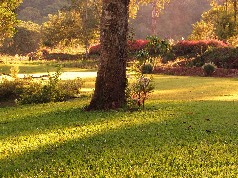 Casa do Bosque: Um lugar cheio de encantos!
