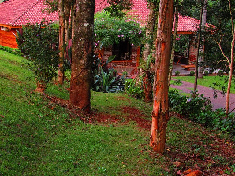Casa do Bosque: Um lugar cheio de encantos!