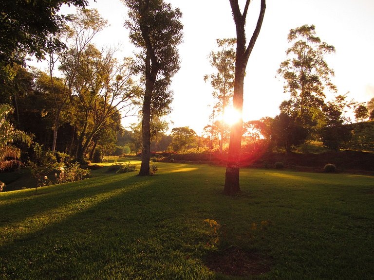 Casa do Bosque: Um lugar cheio de encantos!