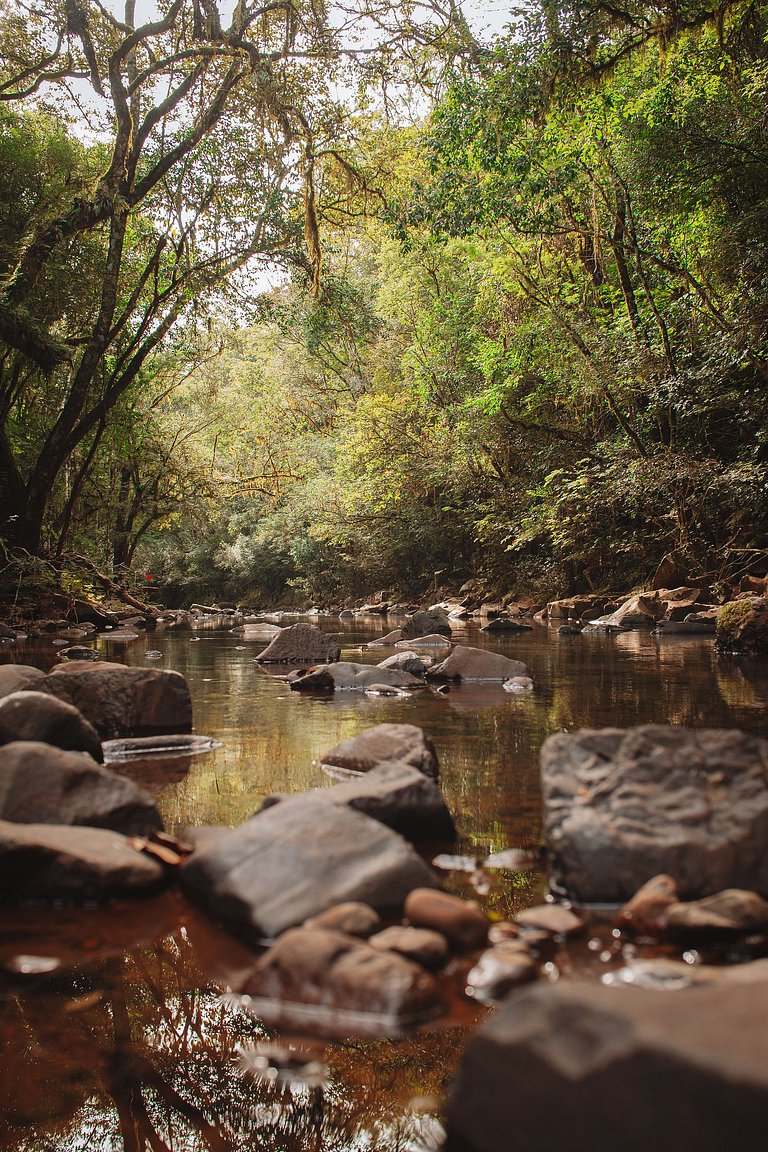 Casa do Bosque: Um lugar cheio de encantos!