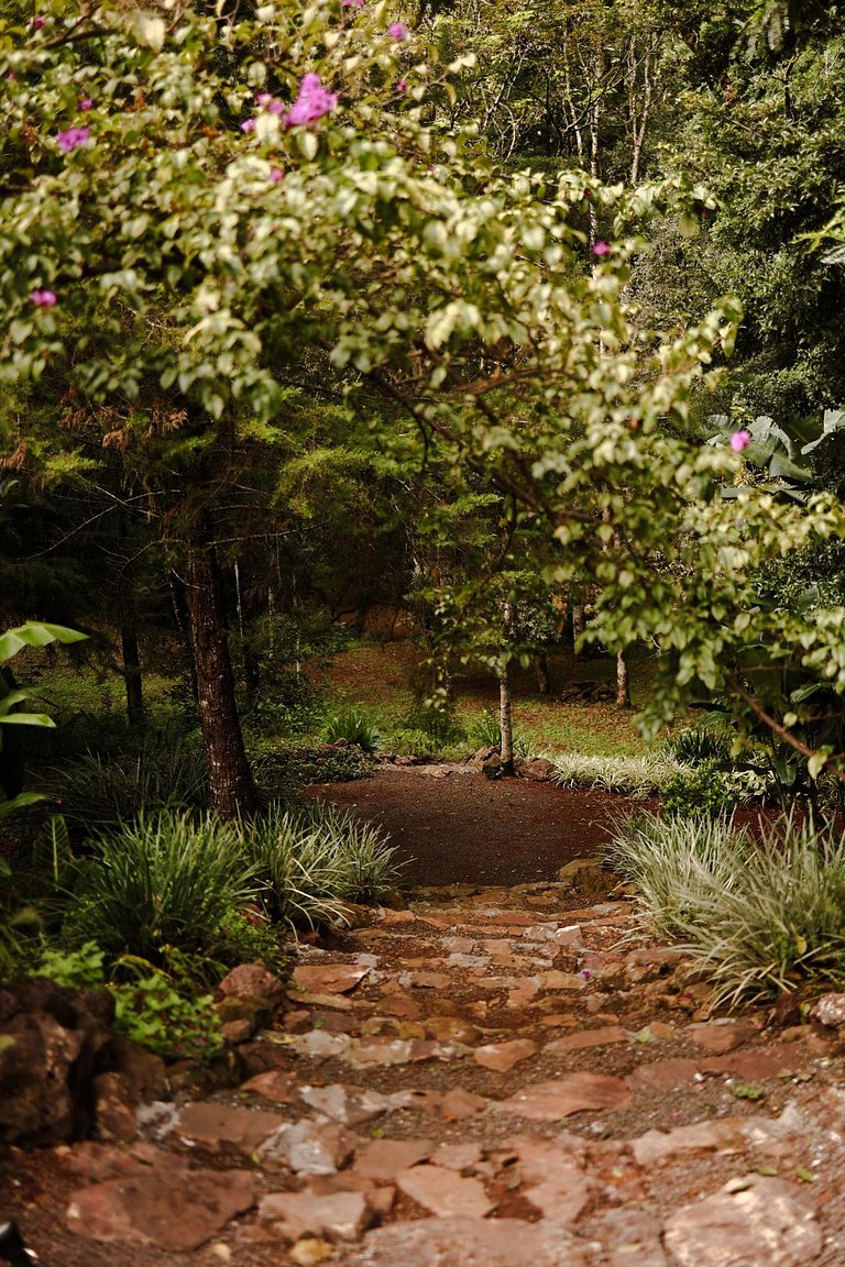 Casa do Bosque: Um lugar cheio de encantos!