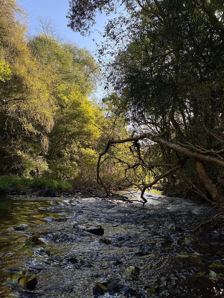 Casa do Bosque: Um lugar cheio de encantos!