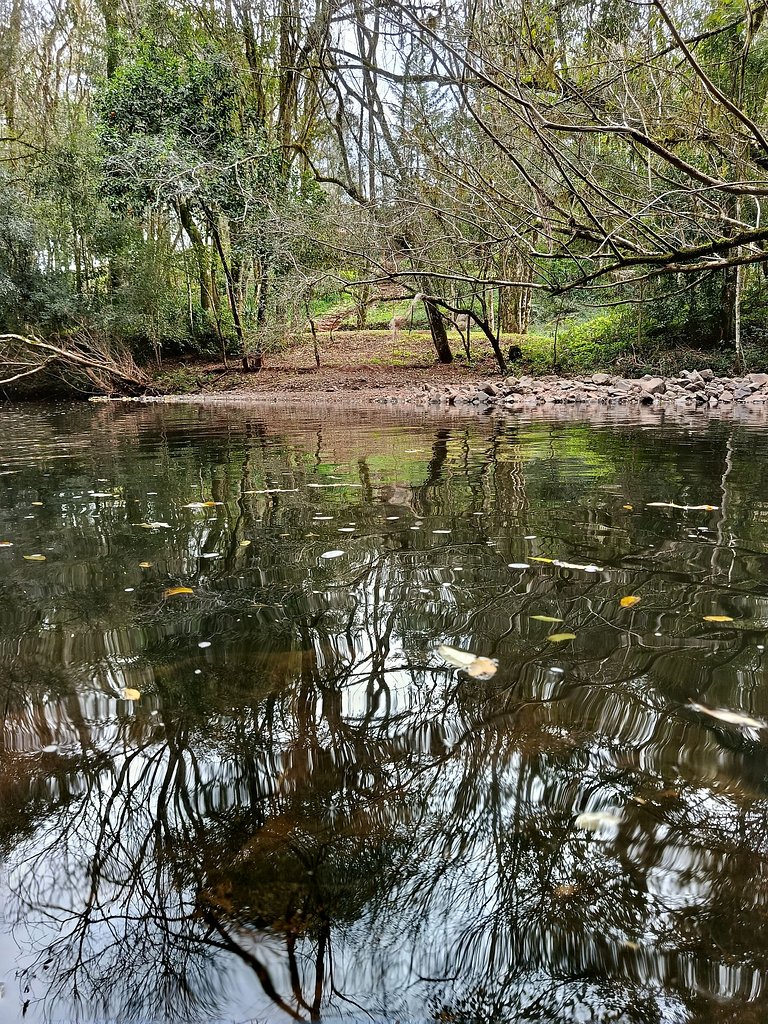 Casa do Bosque: Um lugar cheio de encantos!